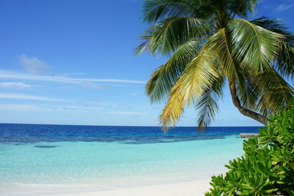 Top places to visit in Tanzania