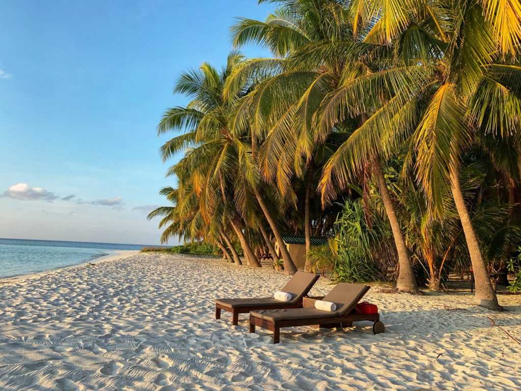 Exploring Zanzibar